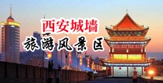 女人吮吸男人的鸡鸡漫画管中国陕西-西安城墙旅游风景区