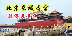 不卡的逼黄视频中国北京-东城古宫旅游风景区